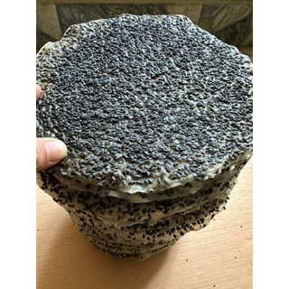 Combo 50 bánh đa đô lương mè đen giá sỉ tại xưởng bánh dày dặn