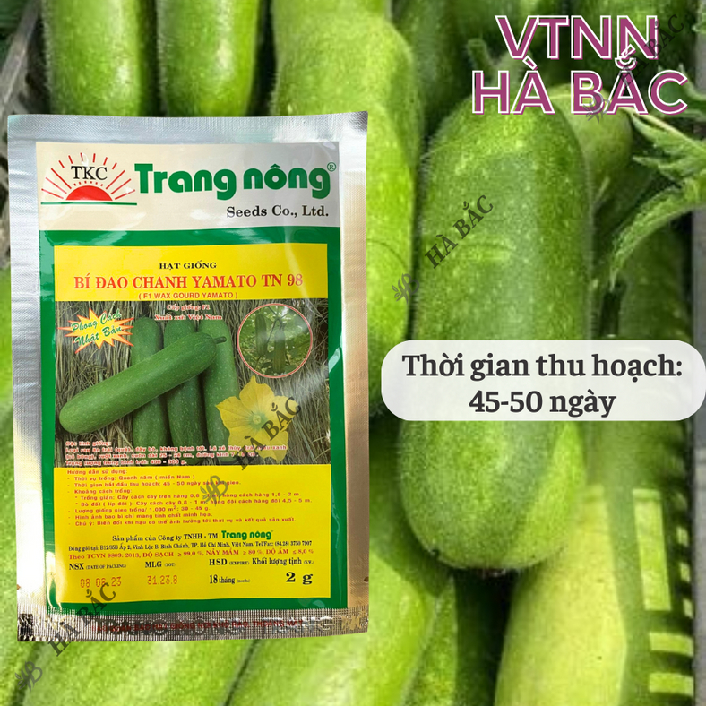 Bí Đao Chanh F1 Yamato Trang Nông TN98 (2gram), hạt giống nảy mầm tốt, năng suất cao, trông quanh năm - Hạt giống Hà Bắc