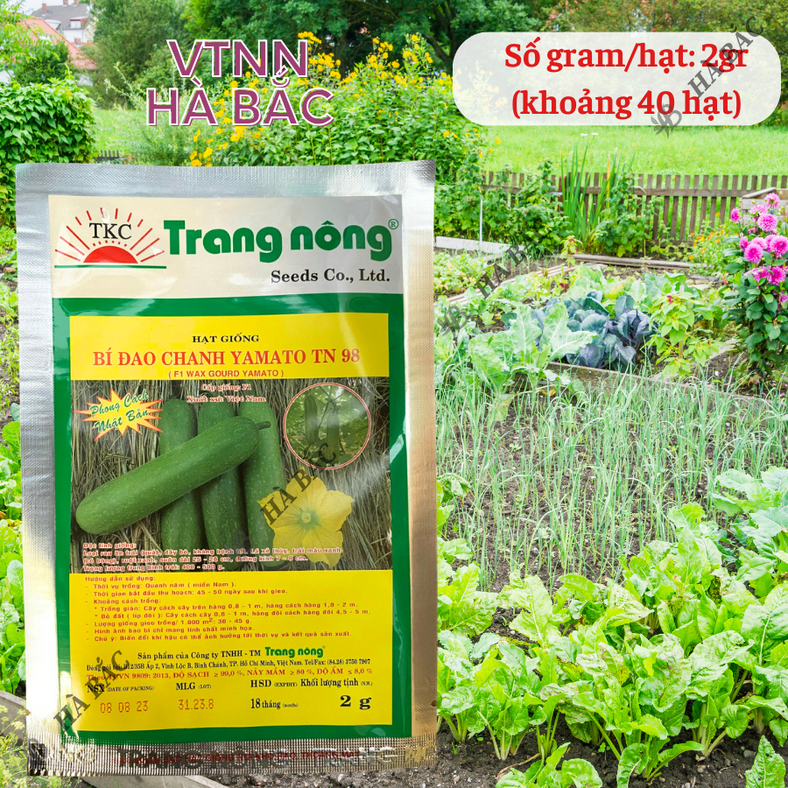 Bí Đao Chanh F1 Yamato Trang Nông TN98 (2gram), hạt giống nảy mầm tốt, năng suất cao, trông quanh năm - Hạt giống Hà Bắc