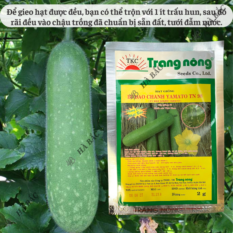 Bí Đao Chanh F1 Yamato Trang Nông TN98 (2gram), hạt giống nảy mầm tốt, năng suất cao, trông quanh năm - Hạt giống Hà Bắc