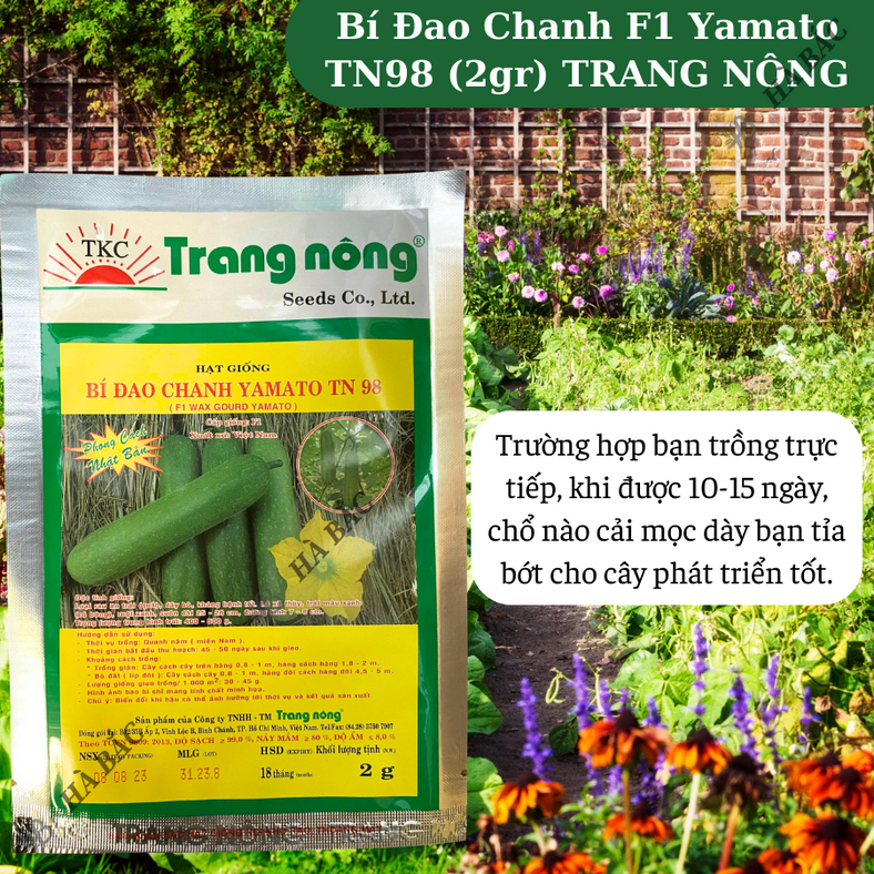 Bí Đao Chanh F1 Yamato Trang Nông TN98 (2gram), hạt giống nảy mầm tốt, năng suất cao, trông quanh năm - Hạt giống Hà Bắc