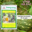 Bí Đỏ Hạt Đậu F1 Trang Nông TN332 (10gram), hạt giống nảy mầm tốt, năng suất cao, trông quanh năm - Hạt giống Hà Bắc
