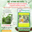 Bí Đỏ Hạt Đậu F1 Trang Nông TN332 (10gram), hạt giống nảy mầm tốt, năng suất cao, trông quanh năm - Hạt giống Hà Bắc