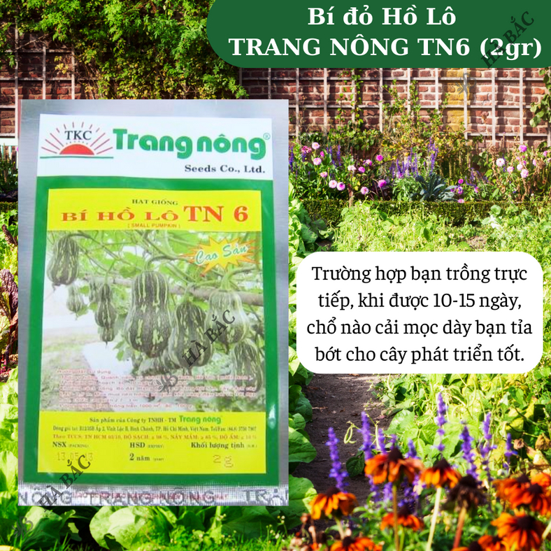 Bí đỏ Hồ Lô Trang Nông TN6 (2gram), hạt giống nảy mầm tốt, năng suất cao, trông quanh năm - Hạt giống Hà Bắc
