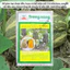Bí Đỏ Hạt Đậu F1 Trang Nông TN332 (10gram), hạt giống nảy mầm tốt, năng suất cao, trông quanh năm - Hạt giống Hà Bắc