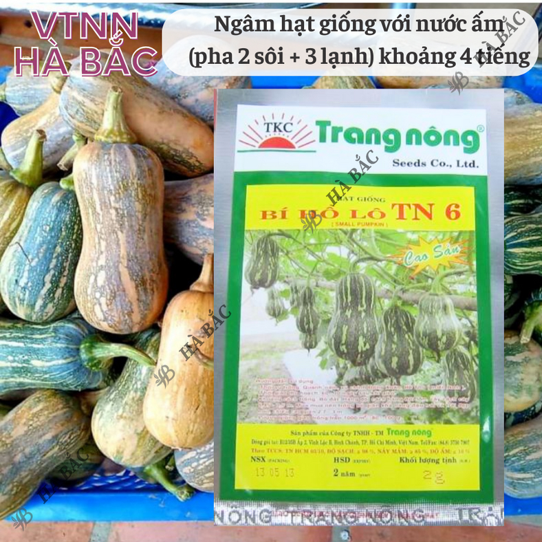 Bí đỏ Hồ Lô Trang Nông TN6 (2gram), hạt giống nảy mầm tốt, năng suất cao, trông quanh năm - Hạt giống Hà Bắc