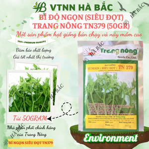 Bí Đỏ Ngọn (Siêu đọt) Trang Nông TN379 (50gr), hạt giống nảy mầm tốt, năng suất cao, trông quanh năm - Hạt giống Hà Bắc