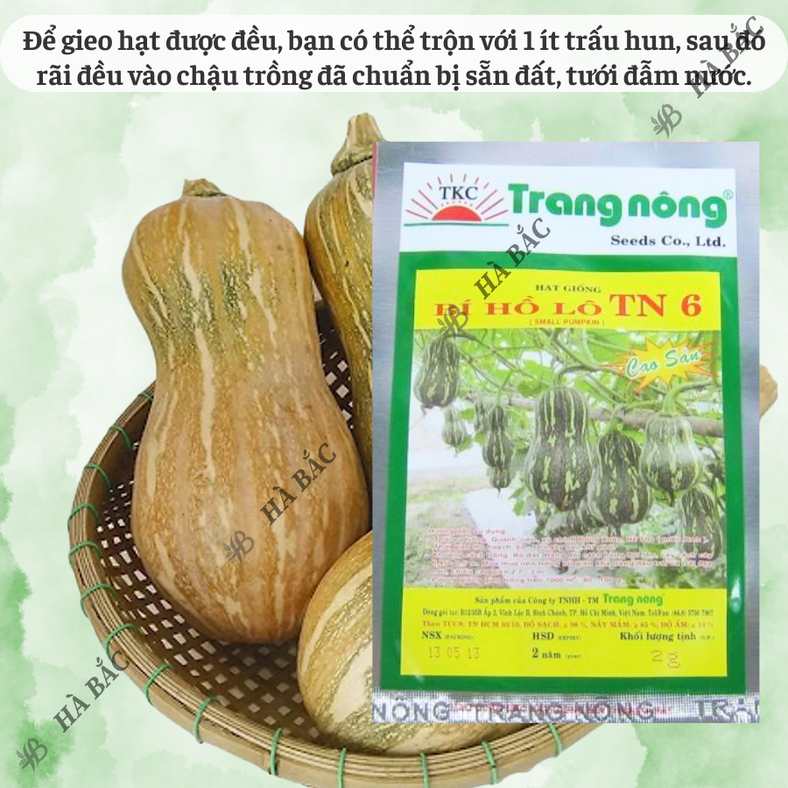 Bí đỏ Hồ Lô Trang Nông TN6 (2gram), hạt giống nảy mầm tốt, năng suất cao, trông quanh năm - Hạt giống Hà Bắc