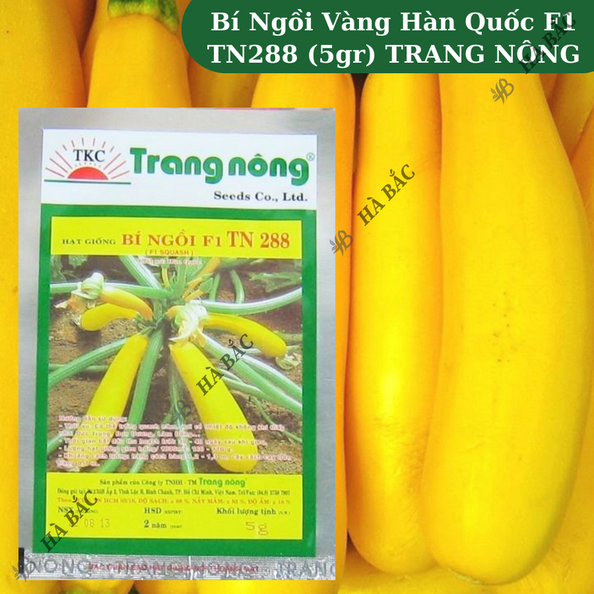 Bí Ngồi Vàng Hàn Quốc F1 Trang Nông TN288 (5gram), hạt giống nảy mầm tốt, năng suất cao, trông quanh năm