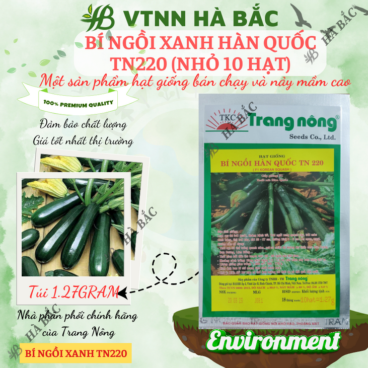 Bí ngồi xanh Hàn Quốc TN220 (NHỎ 10 hạt) Trang Nông, hạt giống nảy mầm tốt, năng suất cao, trông quanh năm