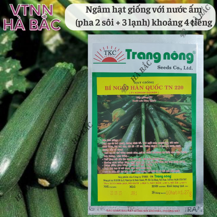 Bí ngồi xanh Hàn Quốc TN220 (NHỎ 10 hạt) Trang Nông, hạt giống nảy mầm tốt, năng suất cao, trông quanh năm