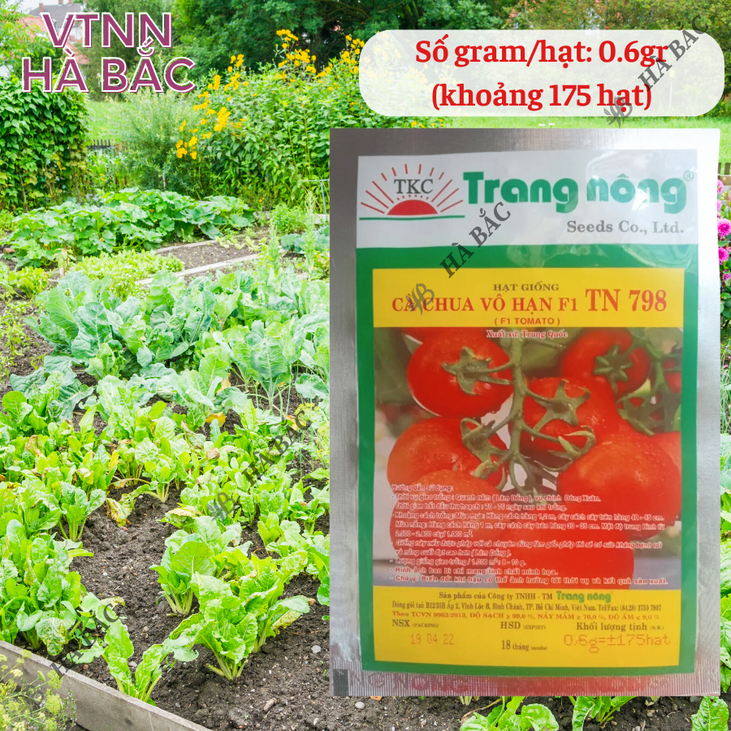 Cà Chua Vô Hạn F1 TN748 - TN798 (0.6gr), hạt giống nảy mầm tốt, năng suất cao, trông quanh năm - Hạt giống Hà Bắc