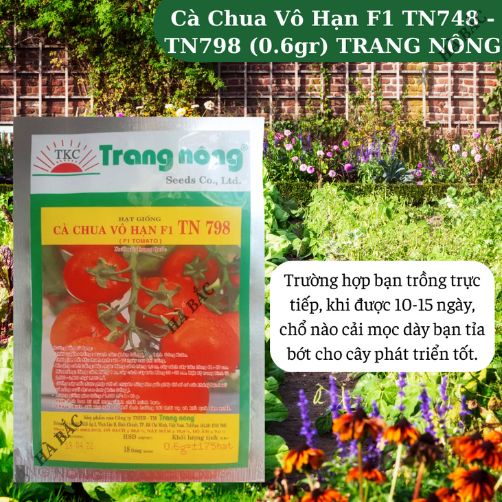 Cà Chua Vô Hạn F1 TN748 - TN798 (0.6gr), hạt giống nảy mầm tốt, năng suất cao, trông quanh năm - Hạt giống Hà Bắc