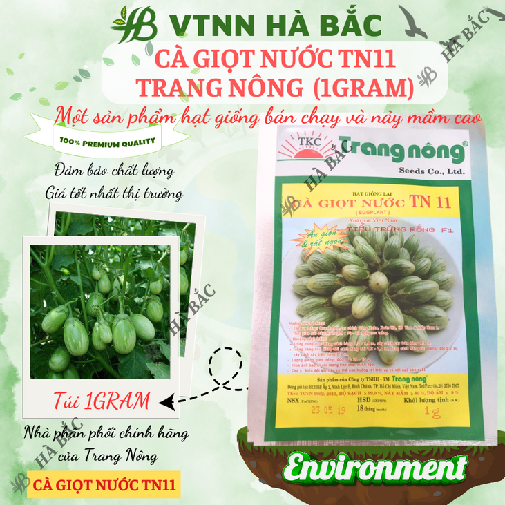 Cà Giọt Nước TN11 Trang Nông (1gram), hạt giống nảy mầm tốt, năng suất cao, trông quanh năm - Hạt giống Hà Bắc