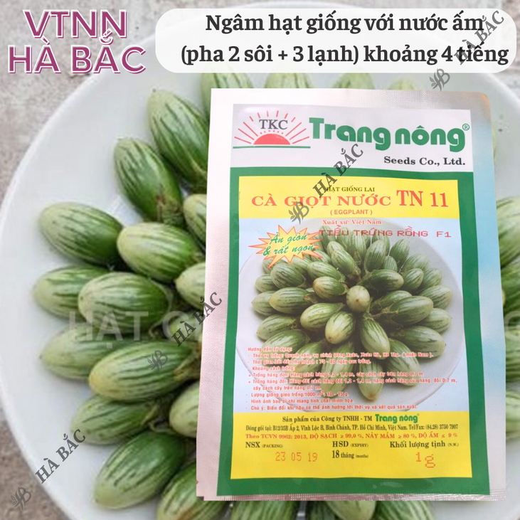 Cà Giọt Nước TN11 Trang Nông (1gram), hạt giống nảy mầm tốt, năng suất cao, trông quanh năm - Hạt giống Hà Bắc