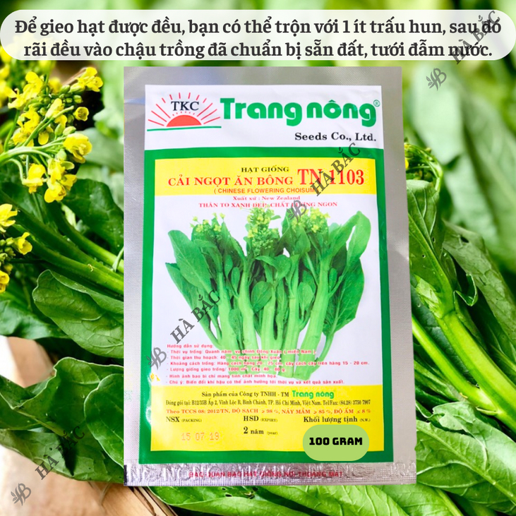 Cải Ngọt Bông TN1103 Trang Nông (100gram), hạt giống nảy mầm tốt, năng suất cao, trông quanh năm - Hạt giống Hà Bắc