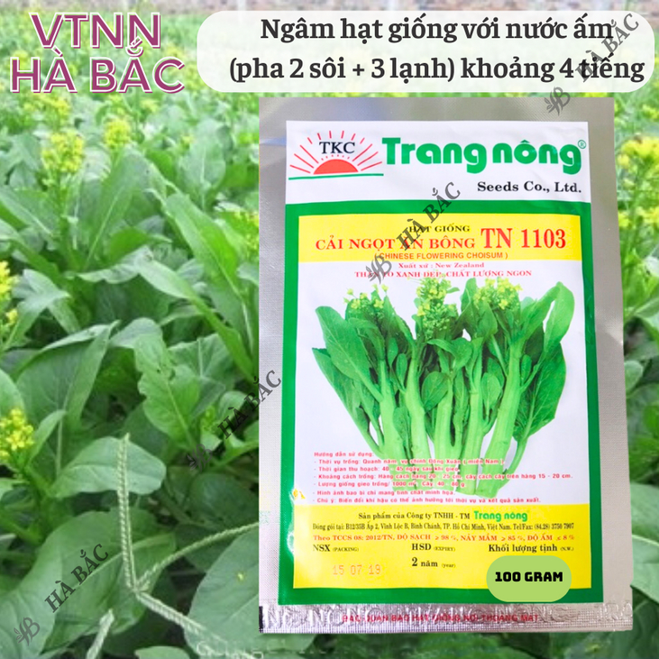 Cải Ngọt Bông TN1103 Trang Nông (100gram), hạt giống nảy mầm tốt, năng suất cao, trông quanh năm - Hạt giống Hà Bắc