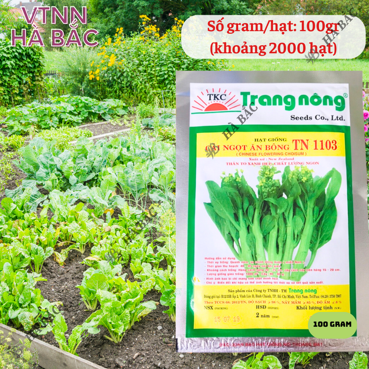 Cải Ngọt Bông TN1103 Trang Nông (100gram), hạt giống nảy mầm tốt, năng suất cao, trông quanh năm - Hạt giống Hà Bắc