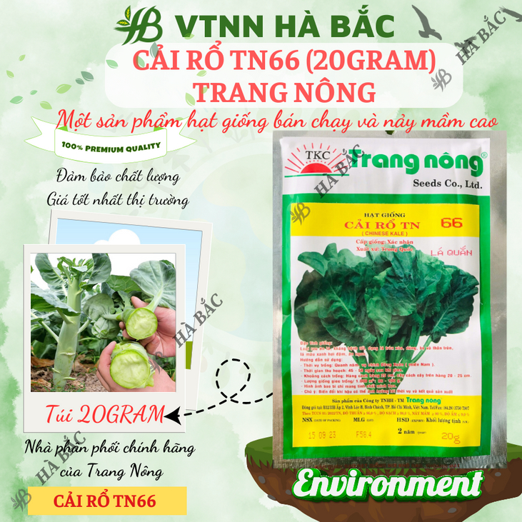 Cải Rổ TN66 Trang Nông (20gram), hạt giống nảy mầm tốt, năng suất cao, trông quanh năm - Hạt giống Hà Bắc