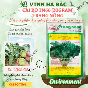 Cải Rổ TN66 Trang Nông (20gram), hạt giống nảy mầm tốt, năng suất cao, trông quanh năm - Hạt giống Hà Bắc
