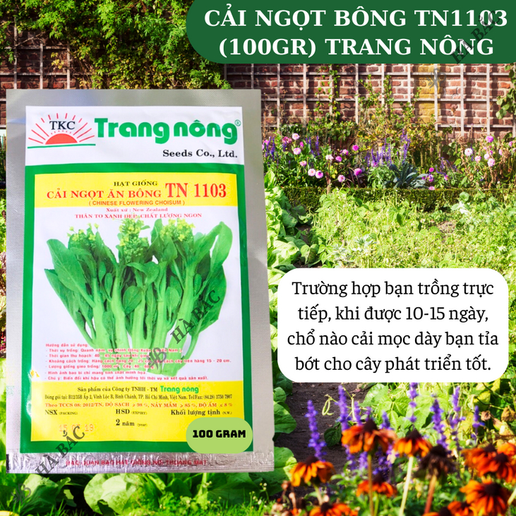 Cải Ngọt Bông TN1103 Trang Nông (100gram), hạt giống nảy mầm tốt, năng suất cao, trông quanh năm - Hạt giống Hà Bắc