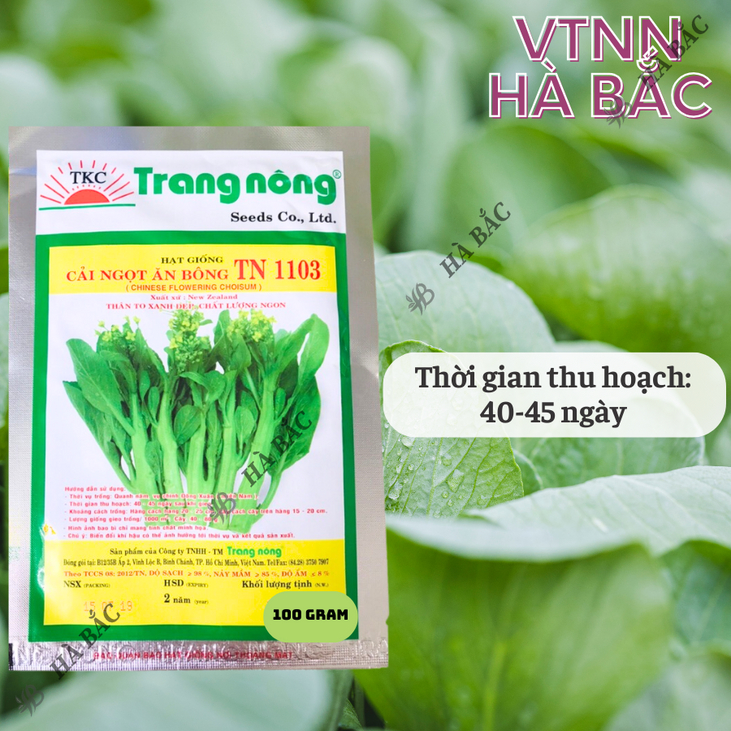 Cải Ngọt Bông TN1103 Trang Nông (100gram), hạt giống nảy mầm tốt, năng suất cao, trông quanh năm - Hạt giống Hà Bắc