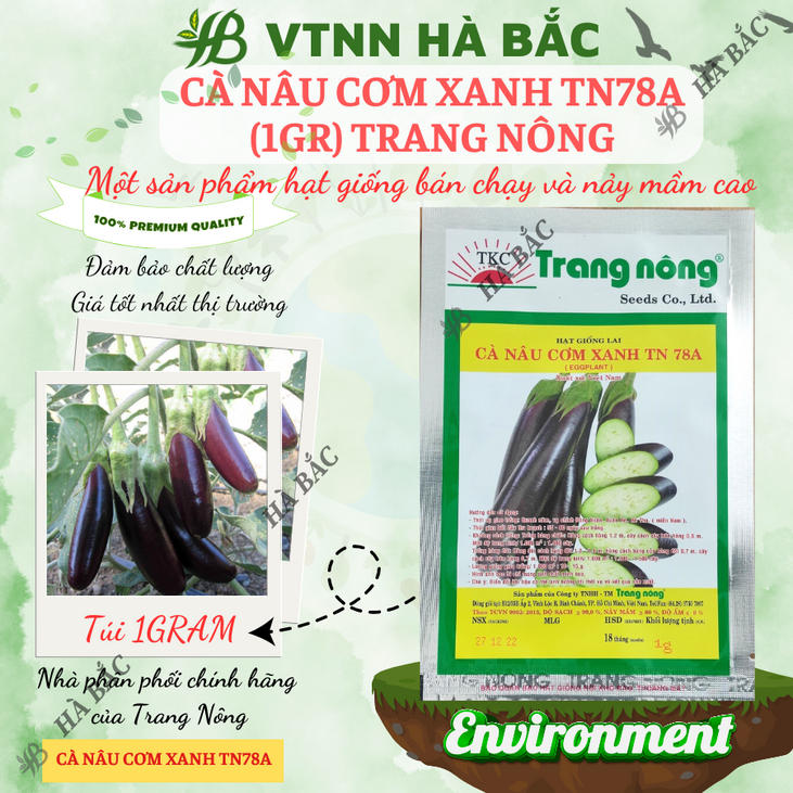 Cà Nâu Cơm Xanh TN78A Trang Nông (1gram), hạt giống nảy mầm tốt, năng suất cao, trông quanh năm - Hạt giống Hà Bắc