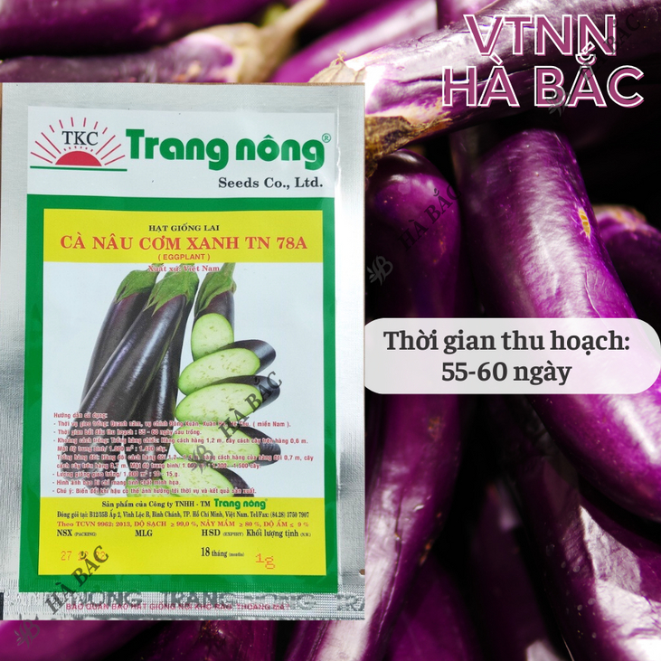 Cà Nâu Cơm Xanh TN78A Trang Nông (1gram), hạt giống nảy mầm tốt, năng suất cao, trông quanh năm - Hạt giống Hà Bắc