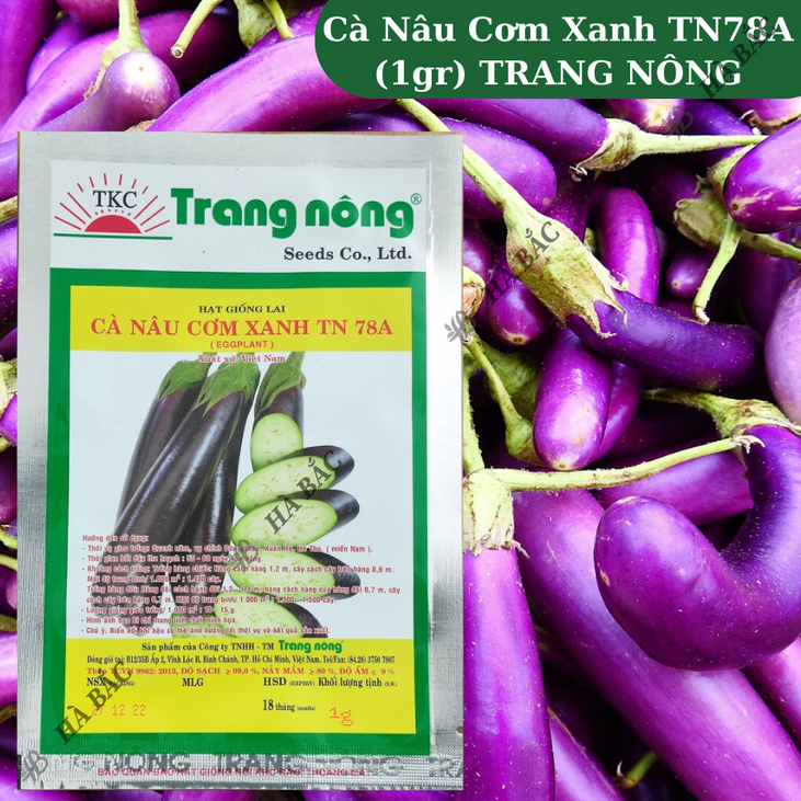 Cà Nâu Cơm Xanh TN78A Trang Nông (1gram), hạt giống nảy mầm tốt, năng suất cao, trông quanh năm - Hạt giống Hà Bắc