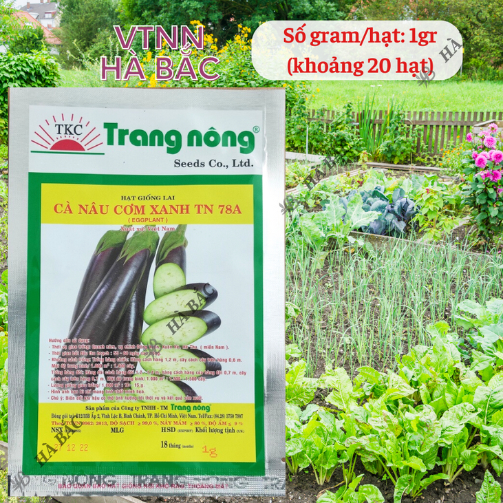 Cà Nâu Cơm Xanh TN78A Trang Nông (1gram), hạt giống nảy mầm tốt, năng suất cao, trông quanh năm - Hạt giống Hà Bắc