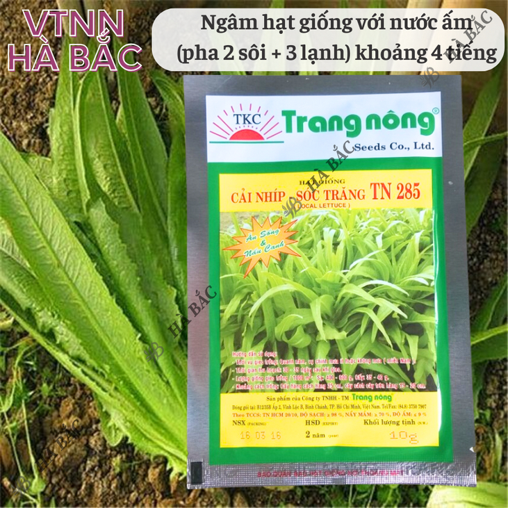 Cải Nhíp Sóc Trăng TN285 Trang Nông (10gram), hạt giống nảy mầm tốt, năng suất cao, trông quanh năm - Hạt giống Hà Bắc