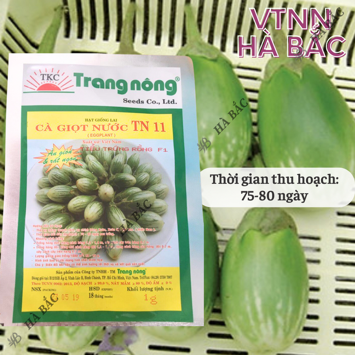 Cà Giọt Nước TN11 Trang Nông (1gram), hạt giống nảy mầm tốt, năng suất cao, trông quanh năm - Hạt giống Hà Bắc