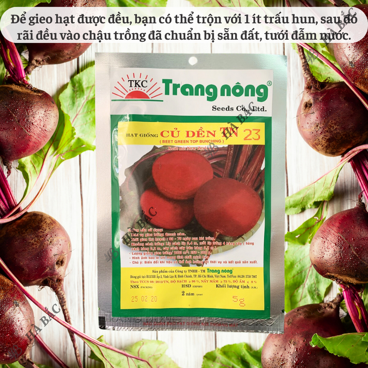 Củ Dền TN23 Trang Nông (5gram), hạt giống nảy mầm tốt, năng suất cao, trông quanh năm - Hạt giống Hà Bắc