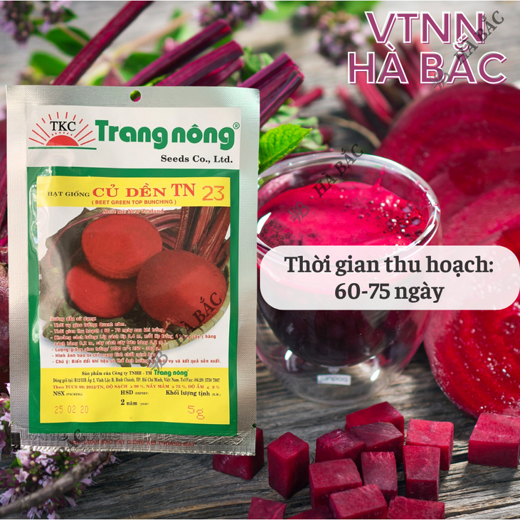 Củ Dền TN23 Trang Nông (5gram), hạt giống nảy mầm tốt, năng suất cao, trông quanh năm - Hạt giống Hà Bắc