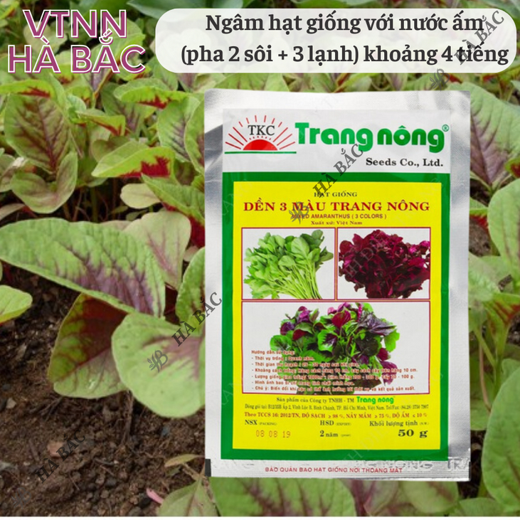 Dền 3 Màu Trang Nông (50gram), hạt giống nảy mầm tốt, năng suất cao, trông quanh năm - Hạt giống Hà Bắc