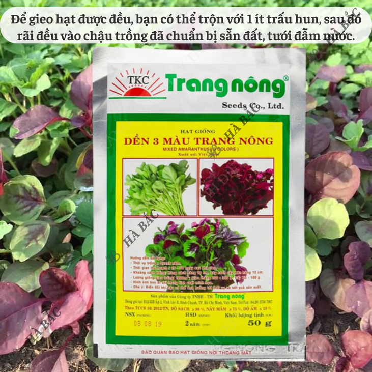 Dền 3 Màu Trang Nông (50gram), hạt giống nảy mầm tốt, năng suất cao, trông quanh năm - Hạt giống Hà Bắc