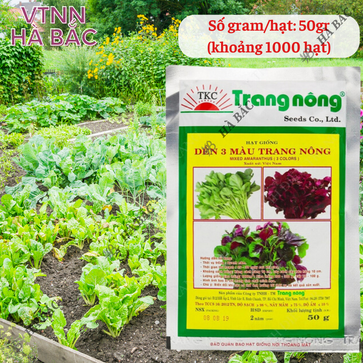 Dền 3 Màu Trang Nông (50gram), hạt giống nảy mầm tốt, năng suất cao, trông quanh năm - Hạt giống Hà Bắc