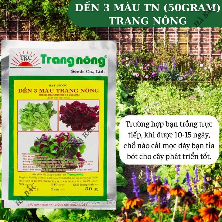 Dền 3 Màu Trang Nông (50gram), hạt giống nảy mầm tốt, năng suất cao, trông quanh năm - Hạt giống Hà Bắc