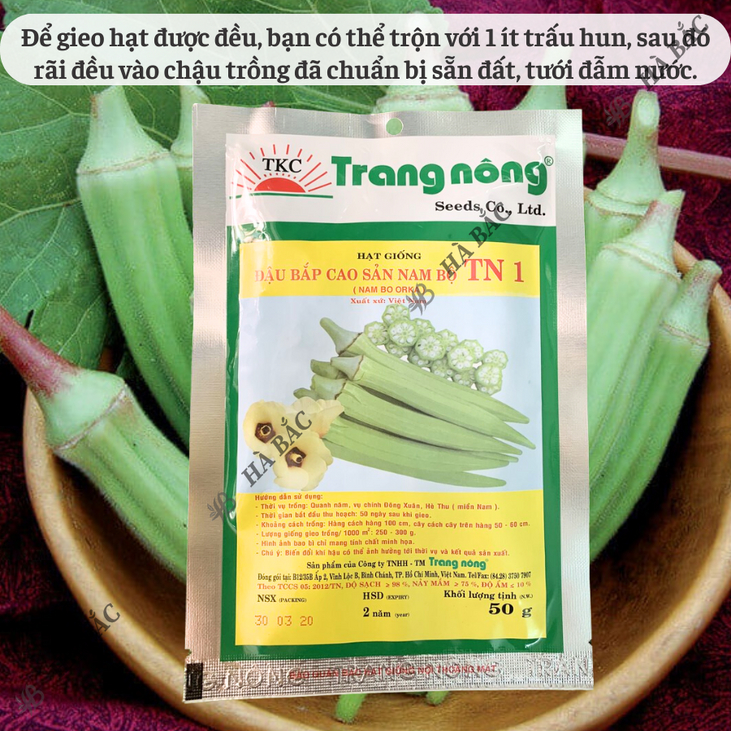 Đậu Bắp Cao Sản Nam bộ TN1 Trang Nông (50gram), hạt giống nảy mầm tốt, năng suất cao, trông quanh năm - Hạt giống Hà Bắc