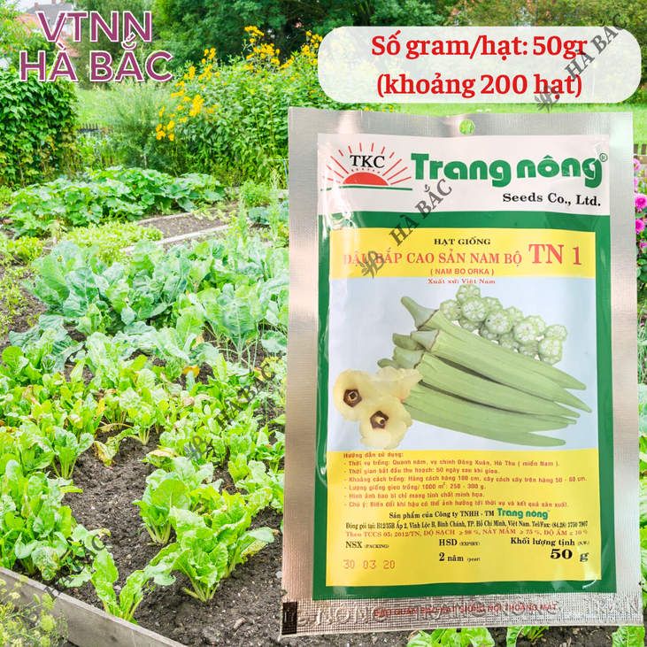 Đậu Bắp Cao Sản Nam bộ TN1 Trang Nông (50gram), hạt giống nảy mầm tốt, năng suất cao, trông quanh năm - Hạt giống Hà Bắc