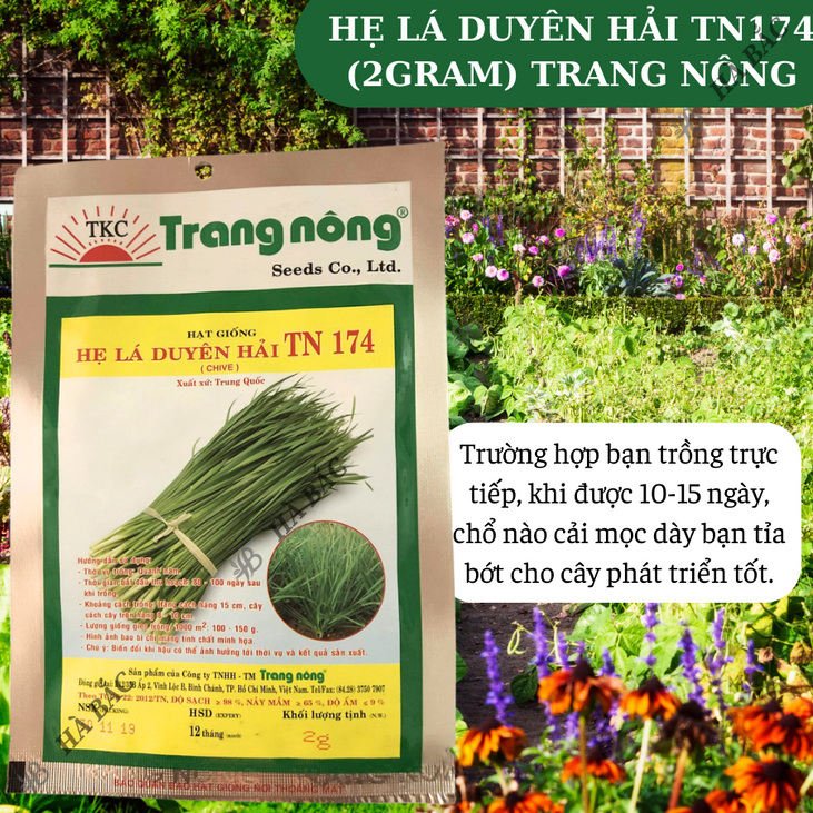 Hẹ Lá Duyên Hải TN174 Trang Nông (2gram), hạt giống nảy mầm tốt, năng suất cao, trông quanh năm - Hạt giống Hà Bắc