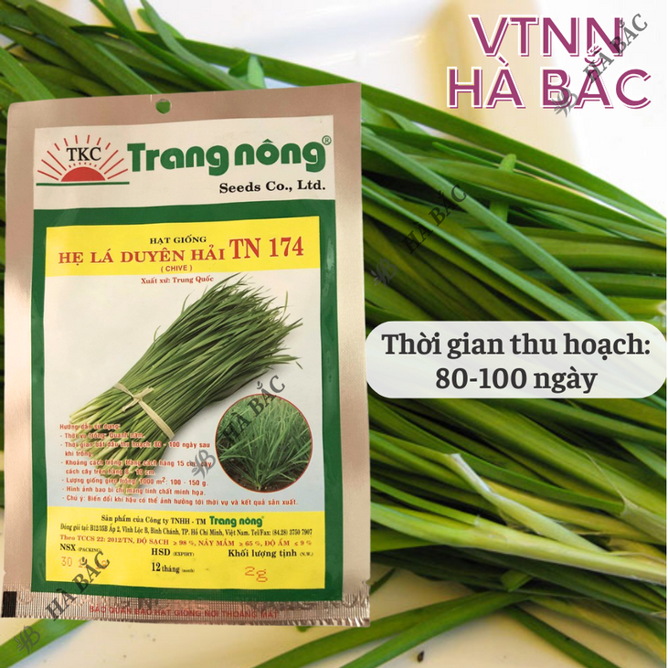 Hẹ Lá Duyên Hải TN174 Trang Nông (2gram), hạt giống nảy mầm tốt, năng suất cao, trông quanh năm - Hạt giống Hà Bắc