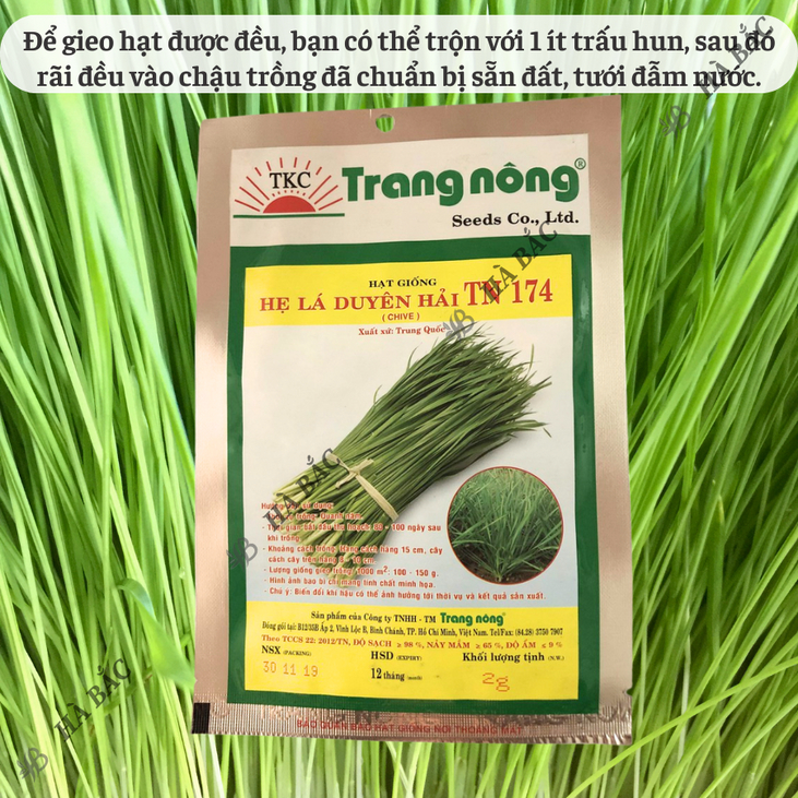 Hẹ Lá Duyên Hải TN174 Trang Nông (2gram), hạt giống nảy mầm tốt, năng suất cao, trông quanh năm - Hạt giống Hà Bắc
