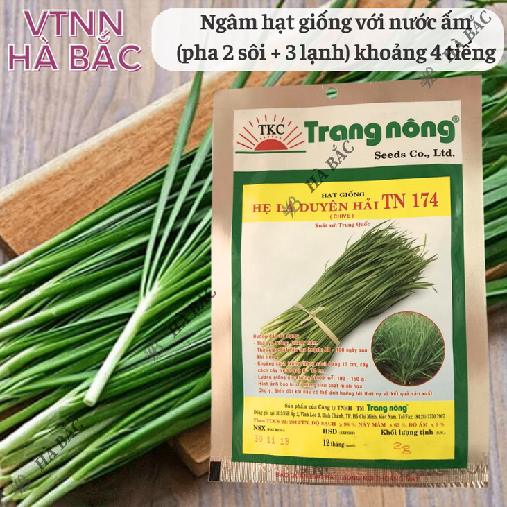 Hẹ Lá Duyên Hải TN174 Trang Nông (2gram), hạt giống nảy mầm tốt, năng suất cao, trông quanh năm - Hạt giống Hà Bắc