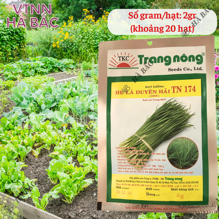 Hẹ Lá Duyên Hải TN174 Trang Nông (2gram), hạt giống nảy mầm tốt, năng suất cao, trông quanh năm - Hạt giống Hà Bắc