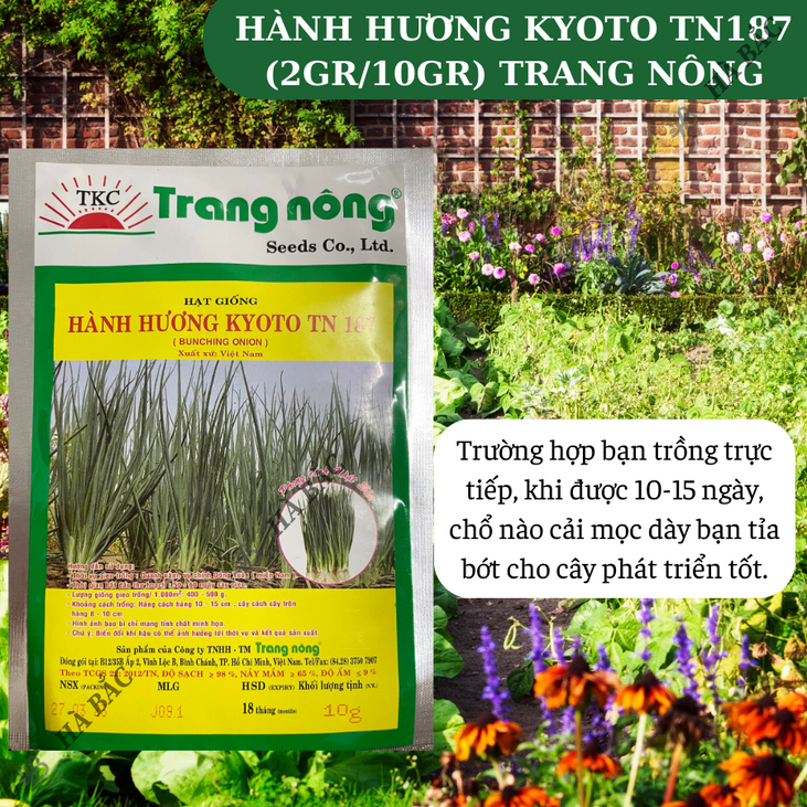 Hành Hương Kyoto TN187 Trang Nông (2gr/10gr), hạt giống nảy mầm tốt, năng suất cao, trông quanh năm - Hạt giống Hà Bắc