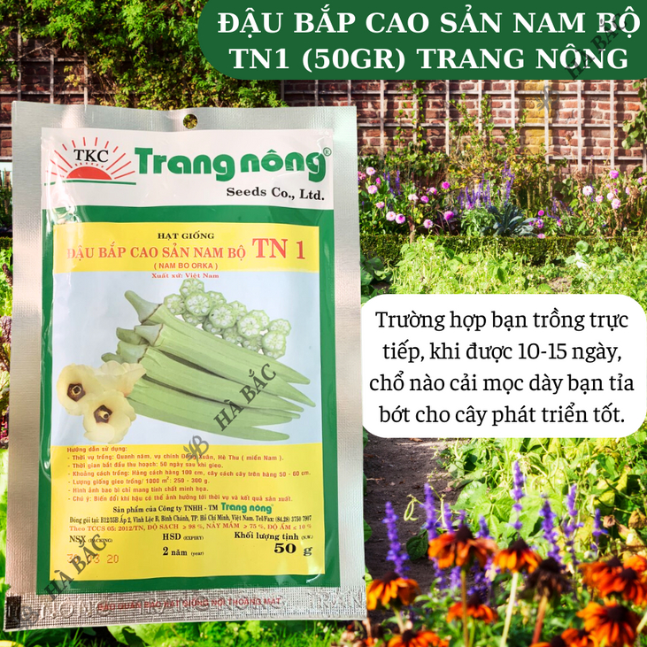 Đậu Bắp Cao Sản Nam bộ TN1 Trang Nông (50gram), hạt giống nảy mầm tốt, năng suất cao, trông quanh năm - Hạt giống Hà Bắc