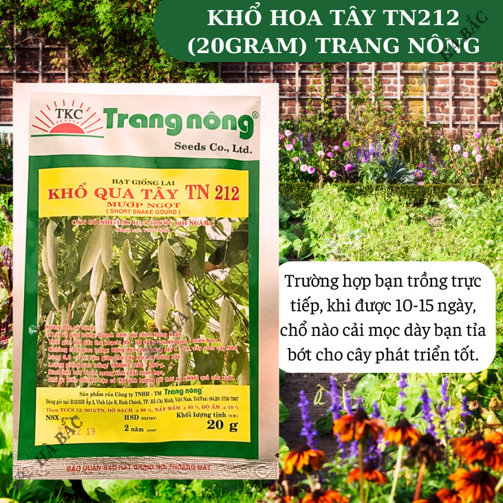 Khổ Hoa Tây TN212 Trang Nông (20gram), hạt giống nảy mầm tốt, năng suất cao, trông quanh năm - Hạt giống Hà Bắc