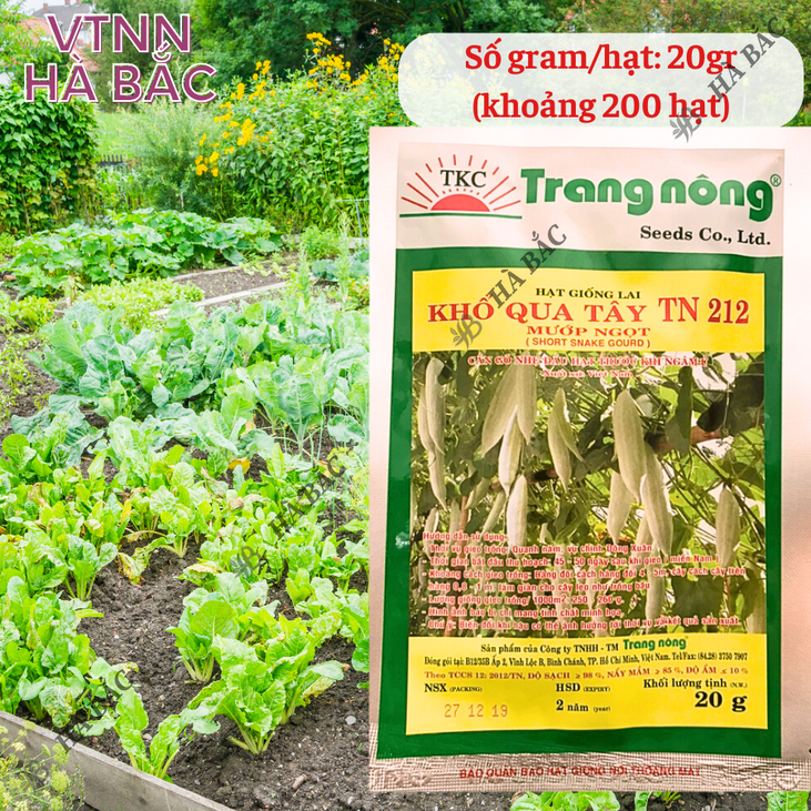 Khổ Hoa Tây TN212 Trang Nông (20gram), hạt giống nảy mầm tốt, năng suất cao, trông quanh năm - Hạt giống Hà Bắc