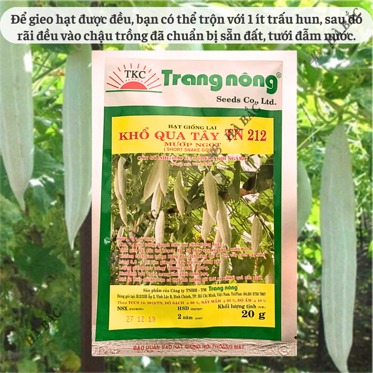Khổ Hoa Tây TN212 Trang Nông (20gram), hạt giống nảy mầm tốt, năng suất cao, trông quanh năm - Hạt giống Hà Bắc